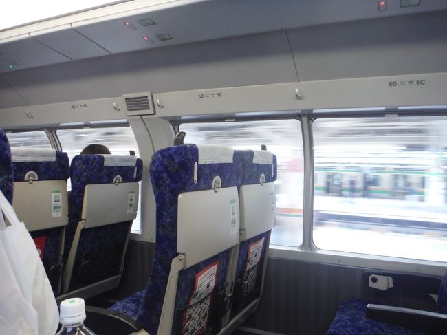 4月のとある平日に休暇が取れたので、<br />横浜までぶらぶらしに行くことにしました。<br />たまの平日休み、久々の横浜という事で<br />往復ともに上野東京ラインのグリーン車で利用で。<br />プチ贅沢なグリーン車利用は行きだけの予定でしたが、<br />あまりにも快適だったので帰りも利用することに。<br />ほんとにぶらぶらしただけだったのですが<br />久々の横浜を満喫しました。<br /><br />交通費<br /><br />地元駅⇔上野 東京メトロ:往復¥330<br /><br />上野⇔横浜(桜木町) 上野東京ライン:往復運賃¥1,100<br /> グリーン料金往復¥1,540<br /><br />横浜⇒山下公園 横浜シーバス:¥700<br /><br />元町⇒赤レンガ倉庫 あかいくつバス:¥216<br /><br />合計¥3,886<br /><br />
