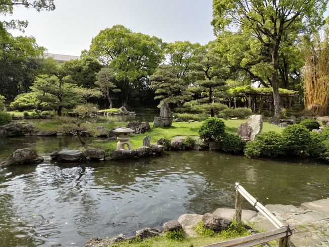 　2019/4/26～4/29に行ってきた、四国旅行の記録です。<br />　今回は四国の現存天守全踏破をテーマに回ってきました。<br /><br />　松山(通過)→伊予大洲(大洲城、臥龍山荘)→宇和島(天赦園、宇和島城)→松山(松山城、湯築城、道後温泉)→今治(今治城)→高松(栗林公園、高松城)→丸亀(丸亀城、中津万象園)→高知(高知城)。<br /><br />　列車で四国を縦横断し、鳥のように余裕なく飛び回っていましたが、無事全ての天守を踏破してきました。<br /><br />　では1日目(伊予大洲、宇和島)。