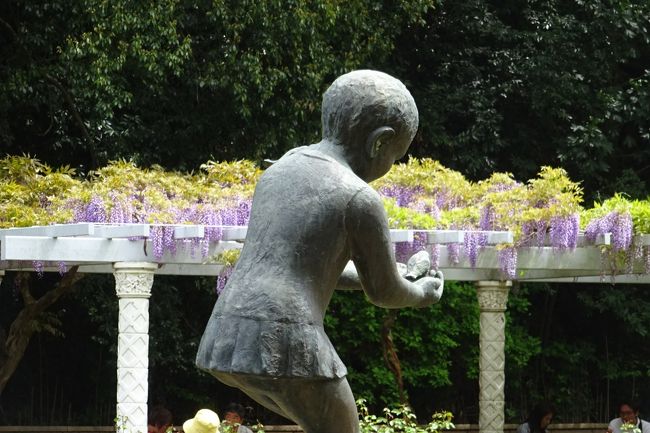 孫のお供で昨年に続いて市川市動植物園を訪れた。<br />自然観察園では、藤の花が見ごろを迎えていた。<br />昨年の同時期は藤の花が終わっていて、バラが見ごろだった。<br />今年はバラは数輪しか咲いていなかった。今年は花冷えが続いたせいか。<br />おたまじゃくしも観察出来て自然と触れ合える。<br /><br />動物園で、レッサーパンダやオラウータン、カワウソなど楽しめる。<br />また、ミニ電車が走り子供たちは大喜び。