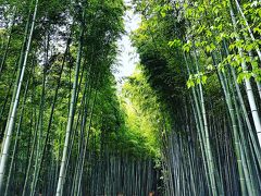 嵐山公園の展望台を目指し、辿り着いたのは小倉山山頂でした