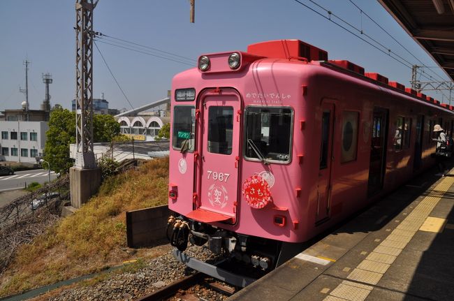 2019年春韓国鉄道旅行+α11（南海多奈川線・和歌山港線）