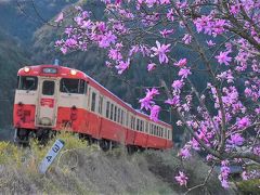 古い駅舎の残る津山線の旅 ～明治生まれの鉄道と花の里山風景～（岡山）