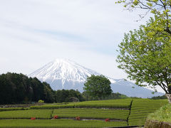 富士山を撮ろうと南麓をウロウロ… 2019.05.03