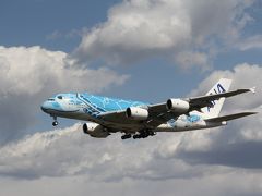 成田でカメを撮る！ANAのA380慣熟飛行撮影をメインに飛行機を楽しむ。