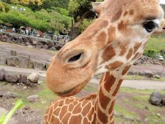 動物が近い！伊豆アニマルキングダム＆かやの寺―GW伊豆旅・気ままに稲取満喫２日目編