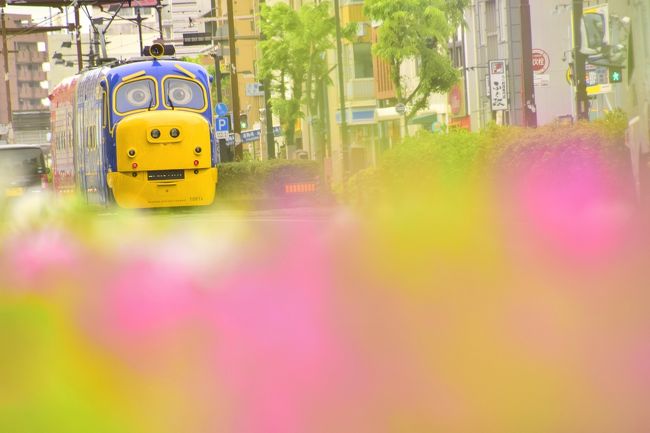 岡山電気軌道（おかでん路面電車）では、英国発の人気鉄道アニメ「チャギントン」とコラボレーションして、2019年3月から「おかでんチャギントン」が営業運転を開始しています。<br /><br />岡山市街を走るウィルソンとブルースター！「おかでんチャギントン」を追いかけて、岡山に訪れてみました。