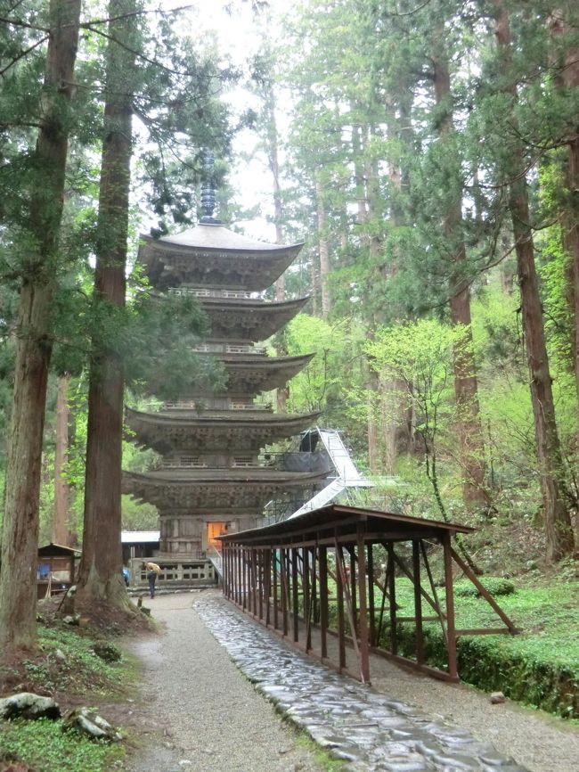 朝一番で羽黒山へ。ただ、あいにくの雨でした。