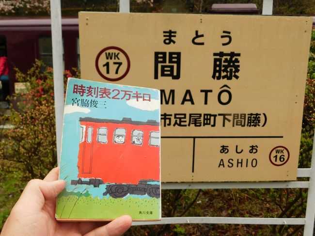 2019珠玉の乗り放題５枚リレー！令和を走る普通列車たち！vol.2（わたらせ渓谷鐵道わ８９－３００型で行く間藤編！）