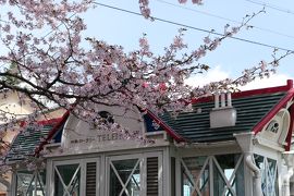 春の軽井沢♪　Vol.4：旧軽井沢　ロータリーの桜・チャーチストリート・聖パウロ教会♪