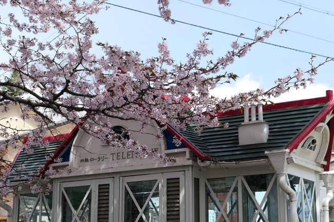 春の軽井沢♪　Vol.4：旧軽井沢　ロータリーの桜・チャーチストリート・聖パウロ教会♪
