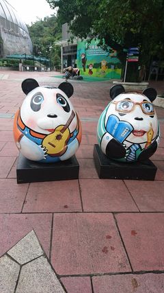 201905,ＧＷ庶民家族の香港マカオ旅行(5)パンダは寝ていた,プール,ダンスウォーター,シェラトンマカオ泊