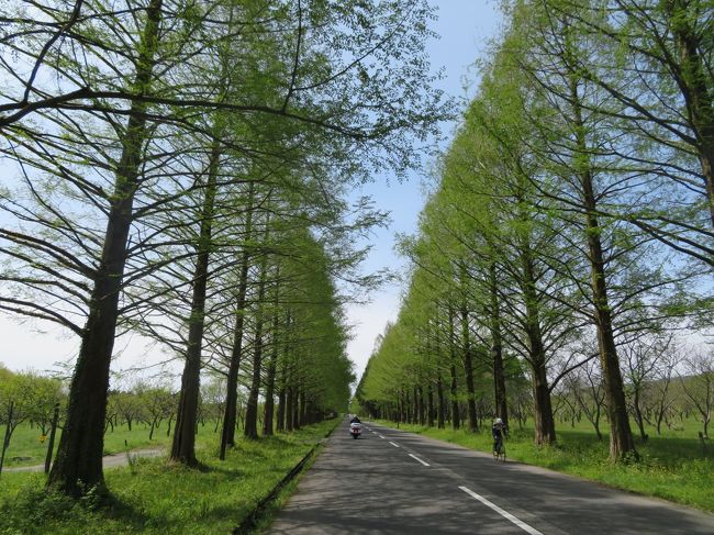 旦那さんが中国山陰地方に行きたいって言ってたので<br />8日間で関西と中国山陰地方を周遊してきました。<br />ほぼ車で移動の旅です★( *´艸｀)<br /><br />☆行程<br />4/28　滋賀県・福井・京都←今ここ★<br />4/29　京都・兵庫・鳥取<br />4/30　鳥取・島根<br />5/1　山口<br />5/2　山口・広島<br />5/3　広島・岡山<br />5/4　岡山・兵庫<br />5/5　兵庫・大阪・奈良