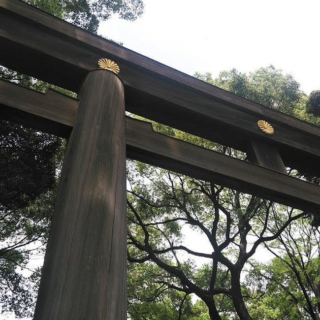 最近の報道を見ていて「あれ?私、明治神宮って行った事ないなぁ~」からの<br />この混雑極まりない日に行って来ました。<br />が。。。日本人より外国の方の観光客のが多い場所でした。<br />でも行けて良かったです!!