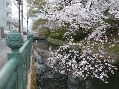 駅からハイキングで前橋へ2019③～高崎のクラフトビールと城址公園の桜～