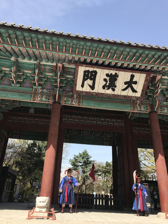 韓国  初ひとり旅（1）ソウルの桜めぐり