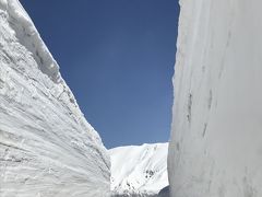 満開の高遠コヒガンザクラに感激して、開通したばかりの雪の大谷に歓喜した春のバス旅。