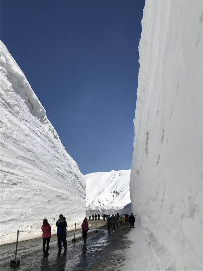 ちょっと行ってみたかったから、雪の大谷。全面開通の後。