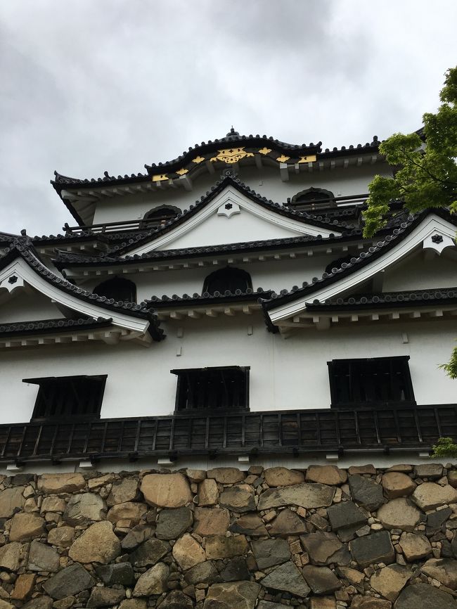 関西旅行の４日目は最終日。<br />金沢に帰省する前に、彦根城へ行きました。