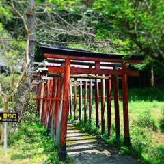 九尺ふじの名所【白毫寺】兵庫県北部は見どころたくさん！