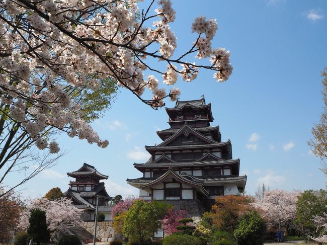 最近京都などの桜を見るのが定番になってる私の春の青春18きっぷ旅で、今年は姫路城の桜も見てみたいな!と思い急きょ計画を立て、青春18きっぷの旅をするために急いでホテルを予約し、4月4日から5泊6日で今回の主な目的地、姫路と京都へ桜を見に出かけてきました。<br /><br />4月8日は伏見地区へ行きます、伏見といっても人気の伏見稲荷などではなく、桜の時期に見に行きたいと思ってた伏見桃山城や宇治川派流を見に行きます。坂本龍馬で有名な寺田屋旅館も見てきました。<br /><br />京都では比較的観光客が少なめで桜の季節でもゆっくり楽しめる場所のレポ、よければ御覧なって下さいな^^<br />