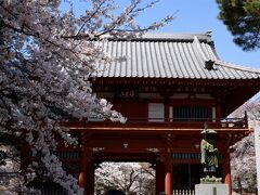 日本さくら名所100選 野田市清水公園へお花見 そして「こうのとりの里」！