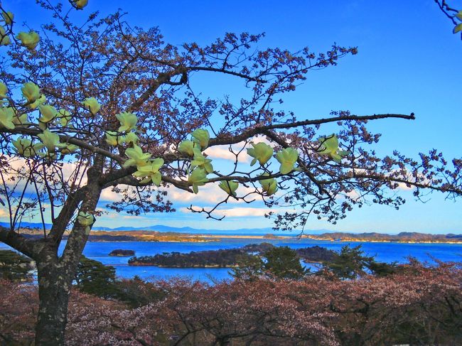 子連れで行く！飛鳥II 東北 春紀行クルーズ（宮城編）