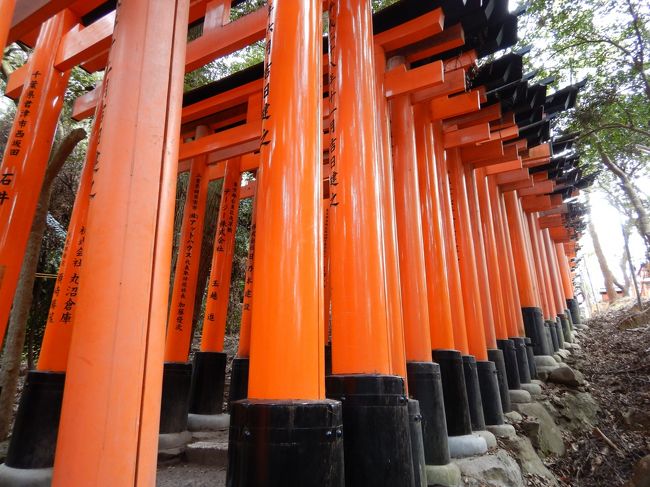 どーも。ひかのすけです<br />海外に長くいると，日本国内が恋しくなる。特に桜と紅葉の季節は･･･。今回は，思いつきLCCセール便乗で大阪京都２泊３日の紅葉を愛でる旅に行ってみた！果たして、強運の我らに紅葉は味方するのか！？<br />初日，台湾桃園発で関空へ。関空から大阪経由で，京都嵐山地区を目指します<br />台湾から逆海外旅行へLet&#39;s Go!!　２日目