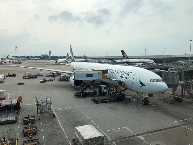 キャセイパシフィック航空ダイナミックパッケージ利用、ビジネスクラスで成田から香港経由でシンガポールに行ってきました。往復4区間すべて、フラットにならない(リージョナル仕様)シートでした。。。