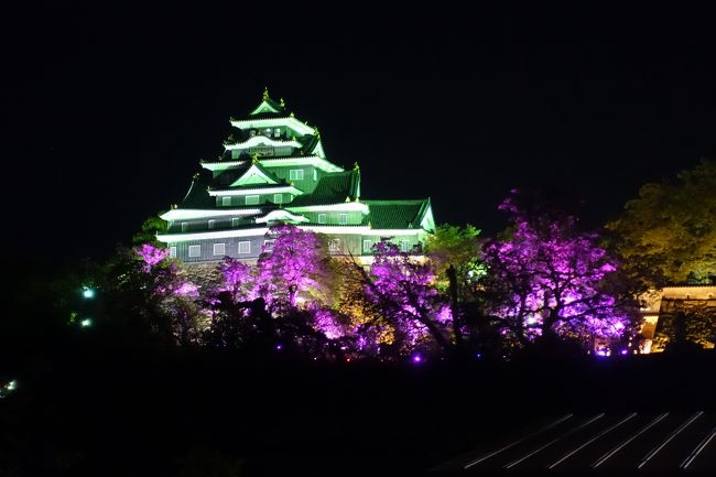 何度か訪れている、岡山城と後楽園ですが、夜間開園にあわせて行ってきました。日中とは違う魅力があって、おすすめです。<br />翌日は、写真はないのですが、夢二郷土美術館に行き、黒の助に会ってきました。　　　