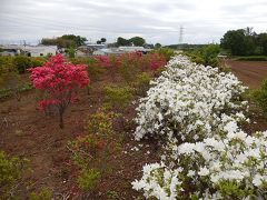 所沢市南永井付近の風景