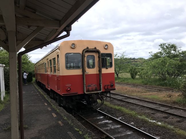 令和に10連休と盛り上がりをみせたGWにローカル線旅を決行!今回は前々から気になっていた小湊鉄道です。いすみ鉄道も乗ってみたかったのですが、日帰りだったので小湊鉄道沿線に絞って観光しました。前編は鉄道沿線巡り、後編は養老渓谷巡りの二本立てです!