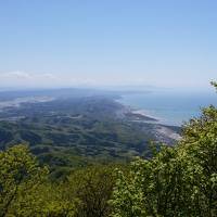 弥彦神社へ行ってきたよ