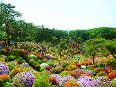 ばばあの気まま一人日帰り旅！～ばばあ暇すぎてチョッと出掛けてみる～