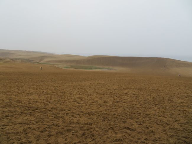 旦那さんが中国山陰地方に行きたいって言ってたので<br />8日間で関西と中国山陰地方を周遊してきました。<br />ほぼ車で移動の旅です★( *´艸｀)<br /><br />☆行程<br />4/28　滋賀・福井・京都<br />4/29　京都・兵庫・鳥取←今ここ★<br />4/30　鳥取・島根<br />5/1　山口<br />5/2　山口・広島<br />5/3　広島・岡山<br />5/4　岡山・兵庫<br />5/5　兵庫・大阪・奈良