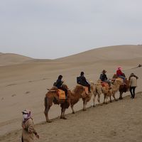 中国西安・敦煌旅行２日目：敦煌で駱駝に乗る