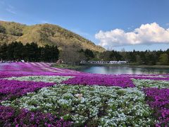 富士芝桜まつり