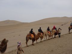 中国西安・敦煌旅行２日目：敦煌で駱駝に乗る