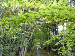 いつ行っても楽しい京都・奉祝令和元日①　　広隆寺・鹿王院・嵐山・御金神社