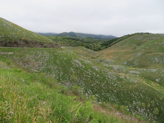 旦那さんが中国山陰地方に行きたいって言ってたので<br />8日間で関西と中国山陰地方を周遊してきました。<br />ほぼ車で移動の旅です★( *´艸｀)<br /><br />☆行程<br />4/28　滋賀・福井・京都<br />4/29　京都・兵庫・鳥取<br />4/30　鳥取・島根<br />5/1　山口←今ここ★<br />5/2　山口・広島<br />5/3　広島・岡山<br />5/4　岡山・兵庫<br />5/5　兵庫・大阪・奈良