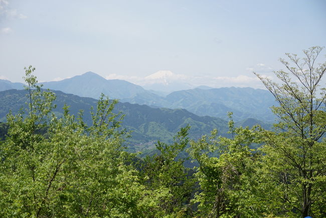 5月5日のこどもの日、高尾山に行って来ました。<br />往路は6号路、復路は稲荷山コース。<br />沢に沿って登る6号路は、新緑が綺麗でザ・森林浴という感じでした(^^)<br />6号路は、本当にオススメのコースです。