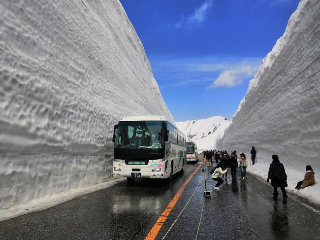 GW第二弾は、家族旅行。2泊4日（+1車中泊）で目的地は、<br />１日目：立山黒部アルペンルート雪の壁、金沢泊<br />２日目：金沢観光と和菓子作り体験、山中温泉泊。<br />３日目：武家屋敷、金箔貼り体験。<br /><br />今回は１日目：立山黒部アルペンルート雪の大谷雪の壁、金沢観光編