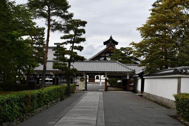 相国寺さんは臨済宗の大本山、御所の北にあります。大きな伽藍で、長い長い参道が大門から続いています。龍の天井画が有名な法堂を始めとして、塔頭や鐘楼が建ち並んでおります。お寺のお宝を集めた承天閣美術館も、見所です。