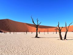 世界最古の砂漠 ～ナミブ砂漠～