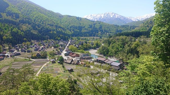 五箇山は、行ったことあるのですが、まだ、白川郷に行ったことがなく季節的にも丁度いいかも？<br />と思い今回、長い10連休は、避け連休明けの8日行くことにしました。<br />その旅路です。<br /><br />