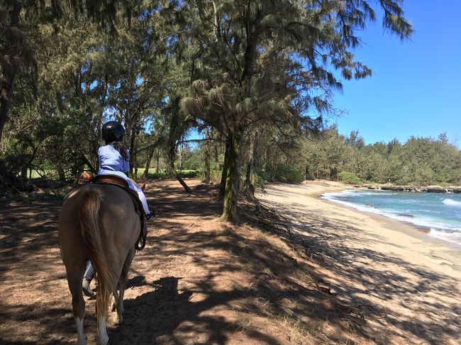 ハワイ最終日 我が子の乗馬体験に タートルベイ へ行ってきました。