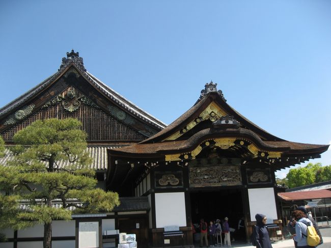 2月に行ったばかりなのに又行きたいと思っていたので、お誘いを受けて又行っちゃった京都。<br />行きたいところが違うところは効率よく行動という事で私は二条城へ、友人とは連絡しながら別行動。<br />食事で合流。<br />