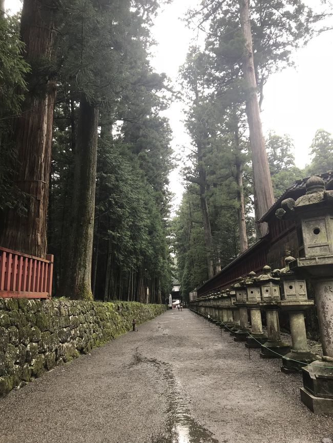 週末にお出かけしたいなと思ったときにはバスツアー♪<br /><br />HISのバスツアーで日光＆ぶどう狩りに。<br /><br />スケジュールは以下です。<br /><br />新宿（8：30発）<br />↓<br />＜高速道＞<br />↓<br />栃木県小山市<br />（季節のフルーツ狩り：巨峰狩り）<br />・<br />・<br />いちごの里「いちご一会」<br />（地産地消がモットーのイタリアン食べ放題／約60分）<br />↓<br />片山酒造<br />（老舗酒造の見学＆お買い物／約30分）<br />↓<br />日光山内<br />（日光二社一寺を自由散策＆天然かき氷のおやつ／約120分）<br />↓<br />＜高速道＞<br />↓<br />新宿（19：20頃着予定）