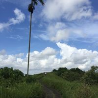 2017年GW バリ島ウブドの旅 ④5日目はアラムジワ へ移動
