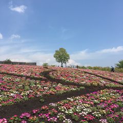 令和初旅　はじめての「おんせん県」Vol.2 炭酸泉でシュワシュワ～＆絶景を楽しむ