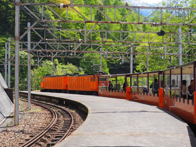 5月7日、晴れ。<br />この日は、旅のメインイベント、黒部峡谷トロッコ電車に乗ります。でも、終点・欅平までの片道1時間18分は幼児には長すぎるので、一番近い黒薙駅まで往復です。<br />その代わり、宇奈月駅周辺の散策路を巡りました。これが案外変化に富んだコースで子ども達も大はしゃぎ。楽しいアクティビティとなりました。<br />その後は、宇都宮の娘宅までの394kmを運転を交代しながら一気に走りきります。<br /><br />〈旅程〉<br />5月4日(土・祝) 横浜ー東京ー蓼科(泊・移動日)<br />5月5日(日・祝) 終日蓼科(泊)<br />5月6日(月・祝) 蓼科ー奥飛騨ー宇奈月(泊)<br />5月7日(火) 宇奈月ー宇都宮<br />